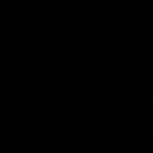 Meet your Posher, Twane